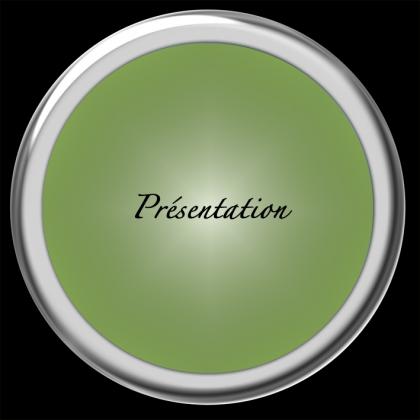 presentation.jpg