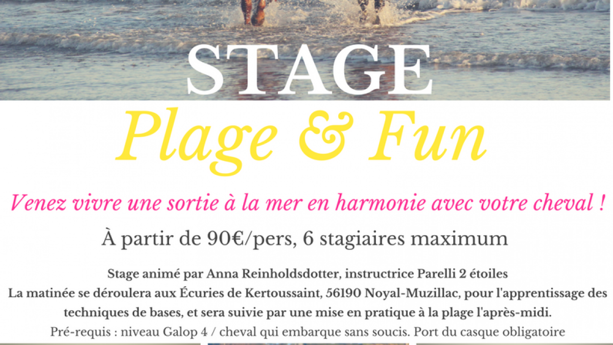 Stage plage